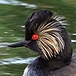 ngk nieuws
